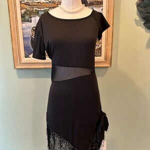 Latin Elegant Black Fringe Dress